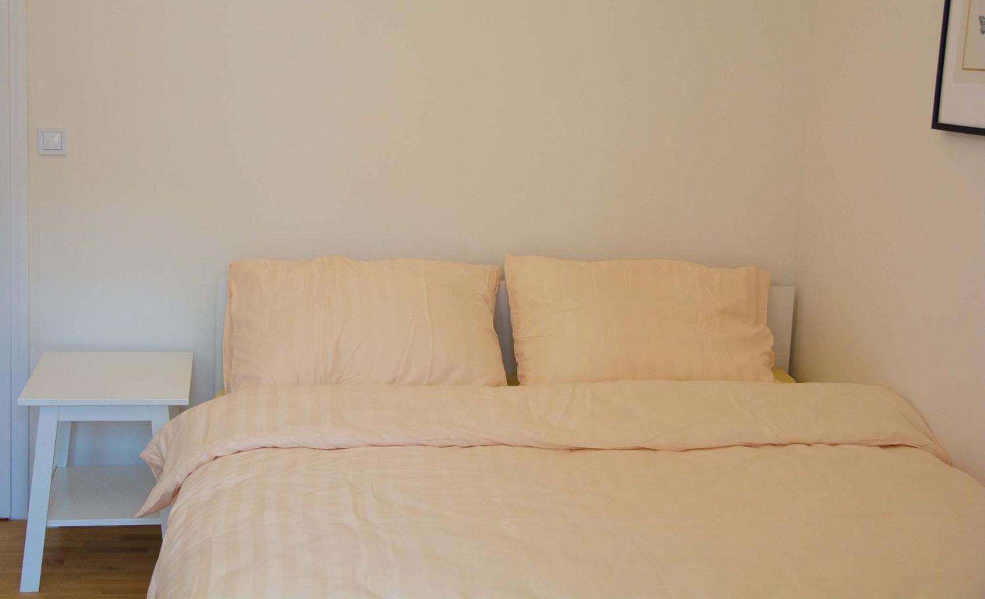 New City Centre Garden Apartment - Central Location プラハ エクステリア 写真